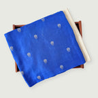 Cloth of Gold Kurta Set Kurta Set Dark Blue Silk Kurta Set