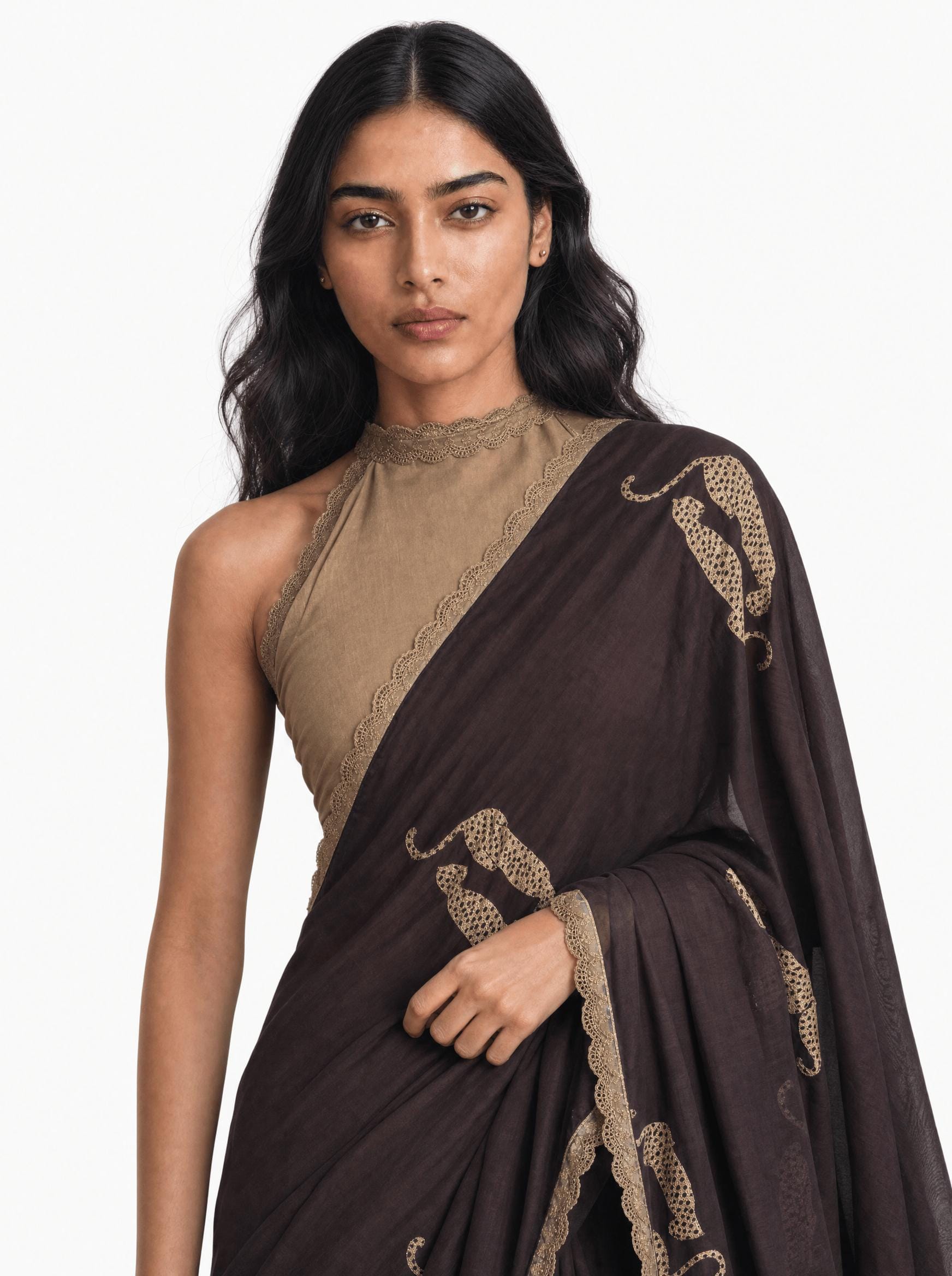 Embroidered Saree Saree Coffee Brown & Beige Mul Chanderi Saree