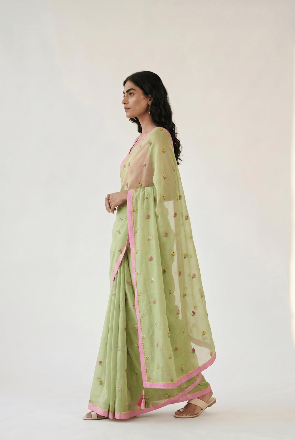 Embroidered Saree Saree Pastel Green Mul Chanderi Saree