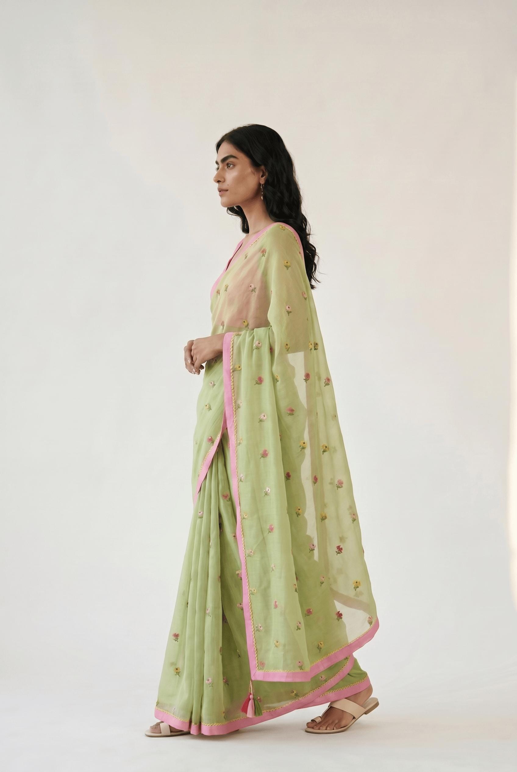 Embroidered Saree Saree Pastel Green Mul Chanderi Saree