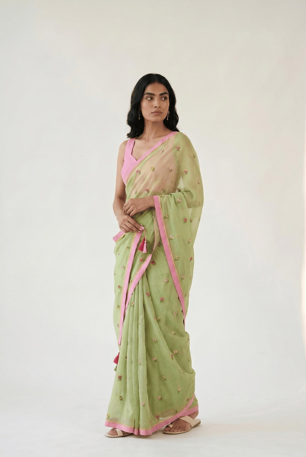 Embroidered Saree Saree Pastel Green Mul Chanderi Saree