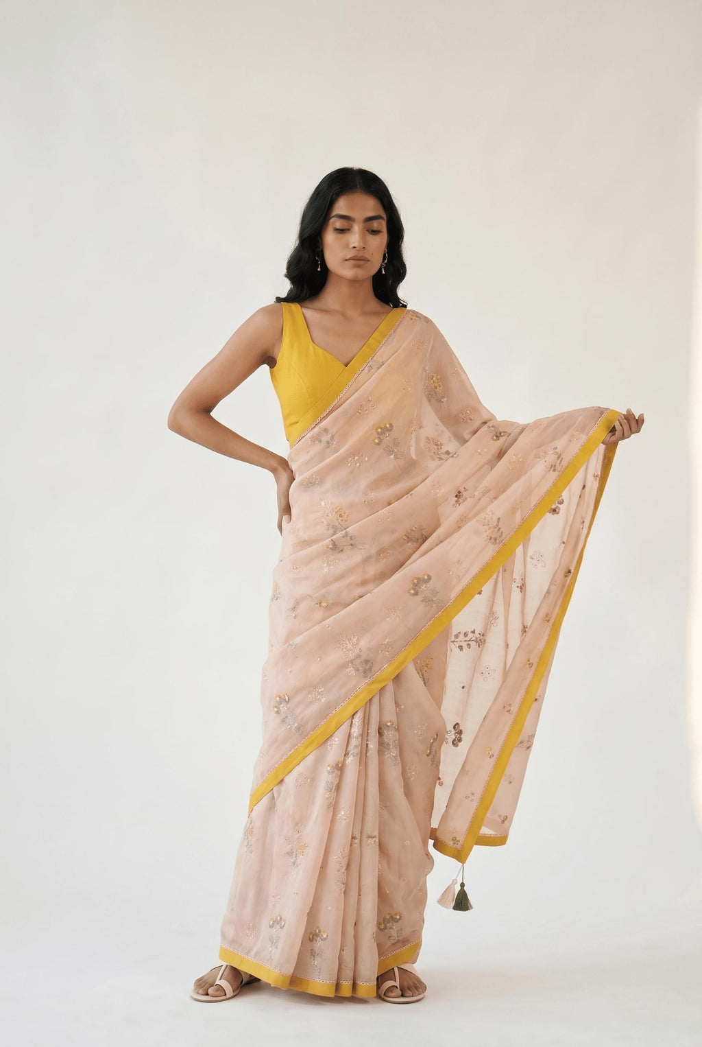 Embroidered Saree Saree Pastel Peach Mul Chanderi Saree