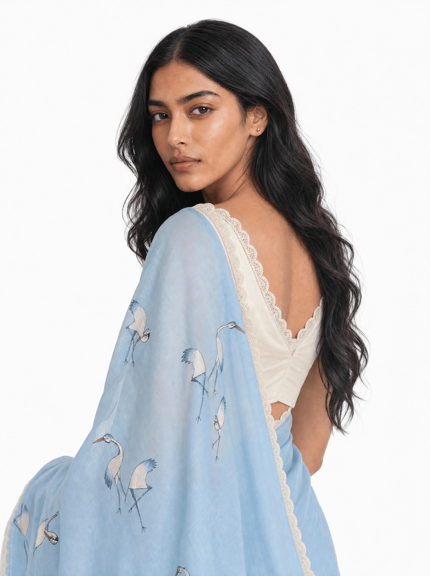 Embroidered Saree Saree Sky Blue & Off-White Mul Chanderi Saree