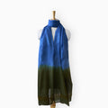 Mix Dupatta Dupatta Denim Blue & Fern Green Ombre Pure Mul Chanderi Duppata