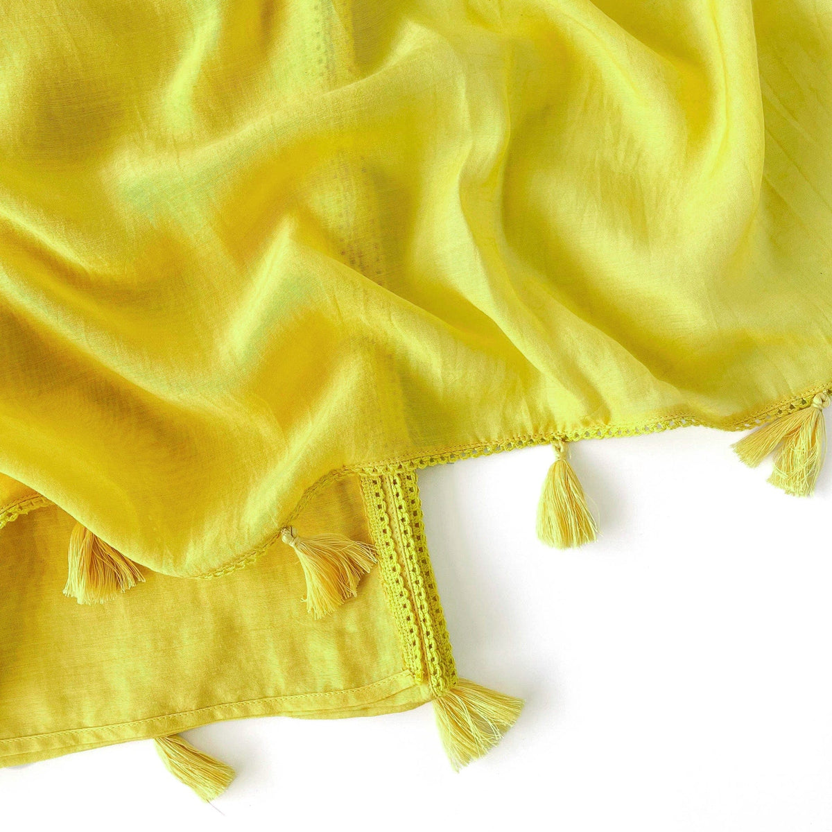 Mul Chanderi Saree Saree Peek-A-Boo Hand Dyed Pure Mul Chanderi Saree