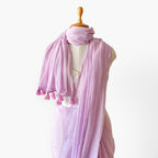 Mul Chanderi Saree Saree Young & Beautiful Hand Dyed Pure Mul Chanderi Saree