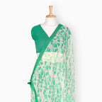 Organza Edit Saree Saree Off-White & Green Organza Edit Floral Vines Printed Pure Tussar Organza Saree With Unstitched Blouse Piece