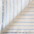 Premium Linen Stripes & Checks Fabric Pure White & Blue Stripes 60 LEA Linen Fabric